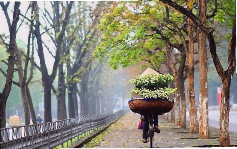 Chùm thơ vui về tháng 8