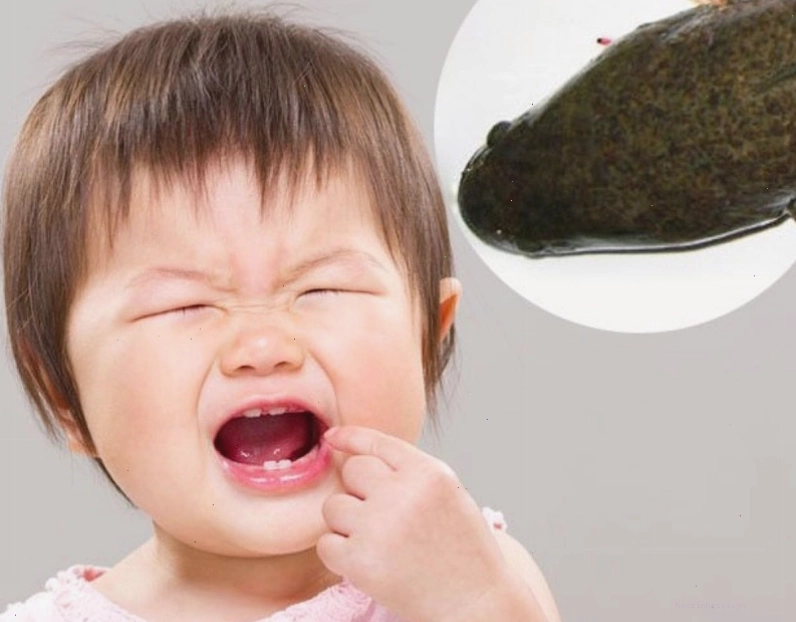 Dinh dưỡng cân bằng là yếu tố quan trọng hỗ trợ trẻ chậm nói