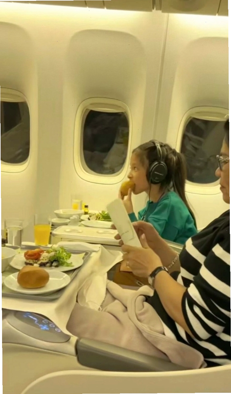 Đoàn Di Băng cho hai con nhỏ ngồi ghế phổ thông khi đi máy bay