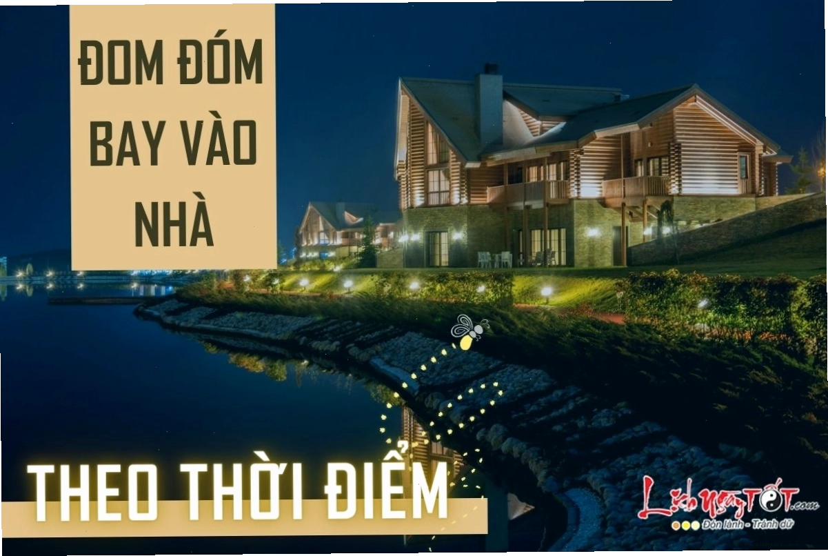 Đom đóm bay vào nhà buổi tối thường là điềm báo tốt