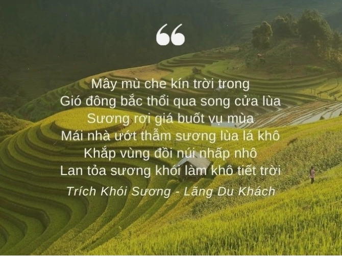 Dòng suối nhỏ trong veo chảy róc rách qua khe núi