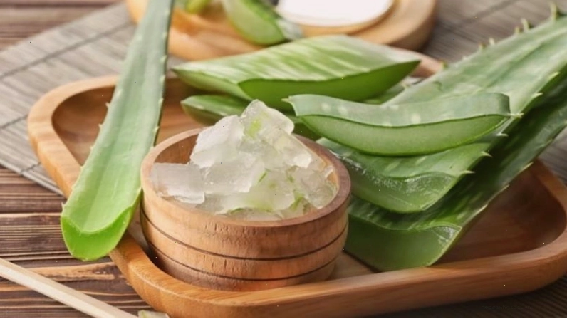 Gel nha đam làm dịu da và kháng khuẩn, giúp giảm triệu chứng hắc lào