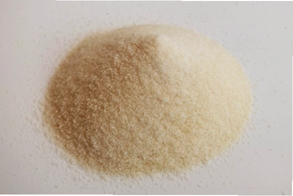 Gelatin là vỏ nang cho thuốc và thực phẩm chức năng