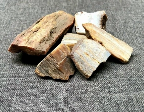 Gỗ hóa thạch giữ nguyên cấu trúc vân gỗ tự nhiên