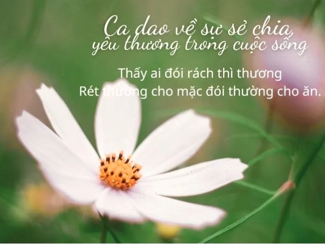 Hành động giúp đỡ người gặp khó khăn
