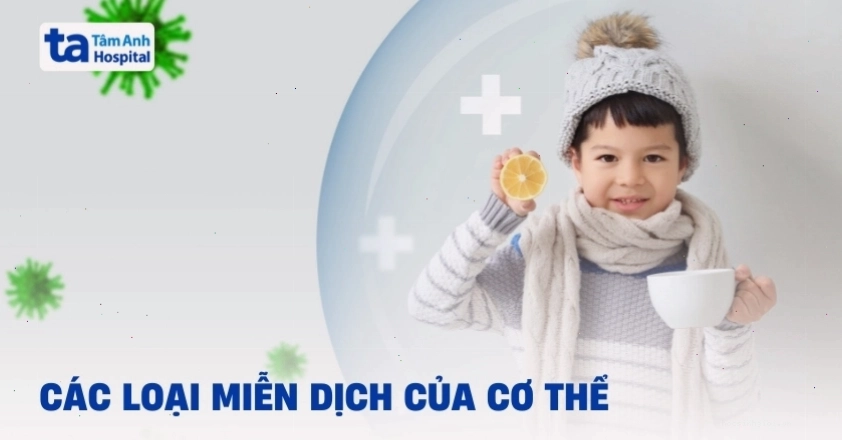 Hiểu về hệ miễn dịch để tăng cường sức khỏe