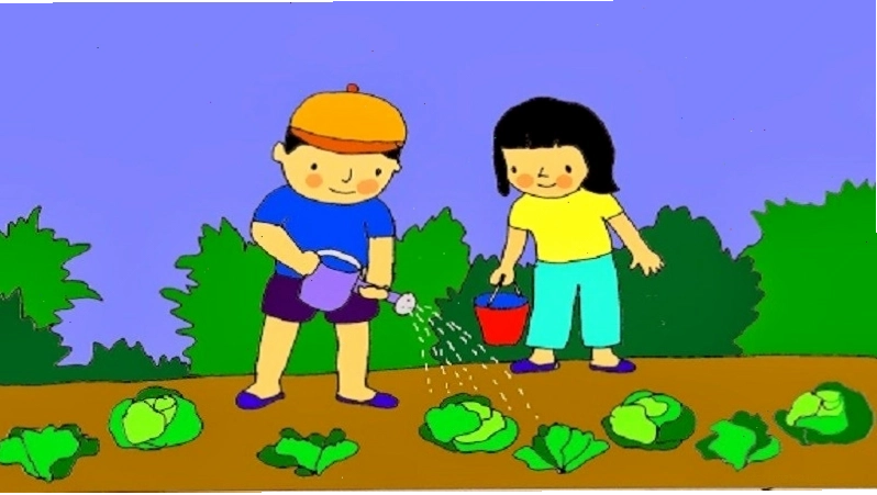Hình ảnh các loại rau củ trong vườn