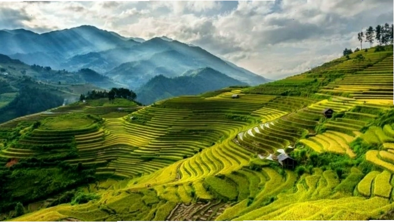 Hình ảnh con đường làng rợp bóng cây dẫn vào xóm nhỏ yên bình