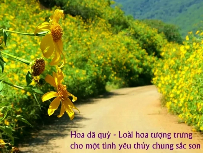Hình ảnh lãng mạn trong thơ tình hiện đại
