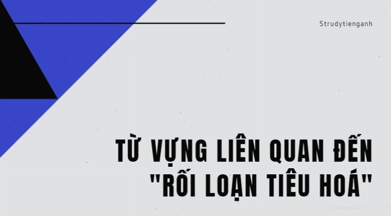 Hình ảnh minh họa các vấn đề về tiêu hóa
