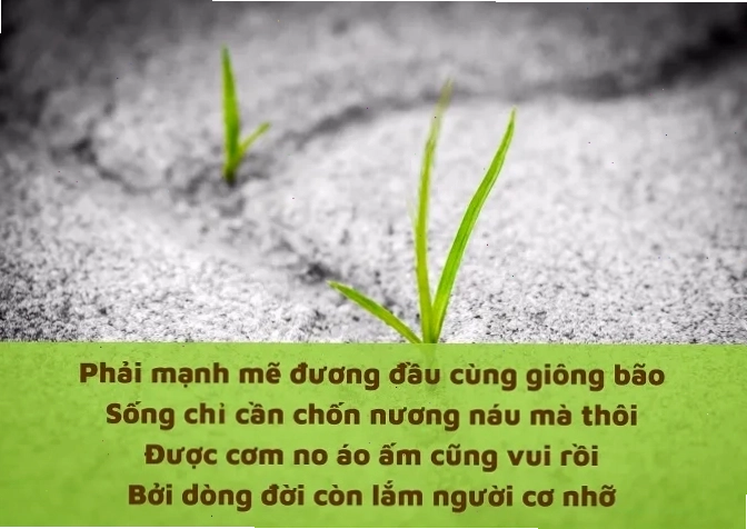 Hình ảnh minh họa thơ buồn về cuộc đời, thể hiện sự suy tư