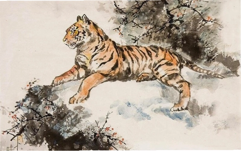 Mậu Dần 1998 hợp màu vàng, nâu đất