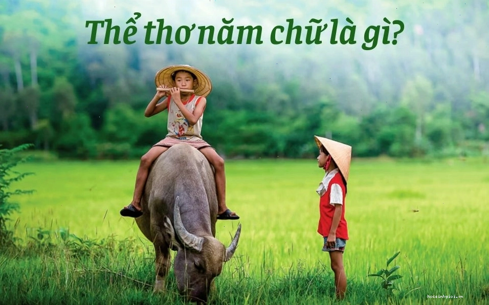 Minh họa đặc điểm cấu trúc của thể thơ năm chữ