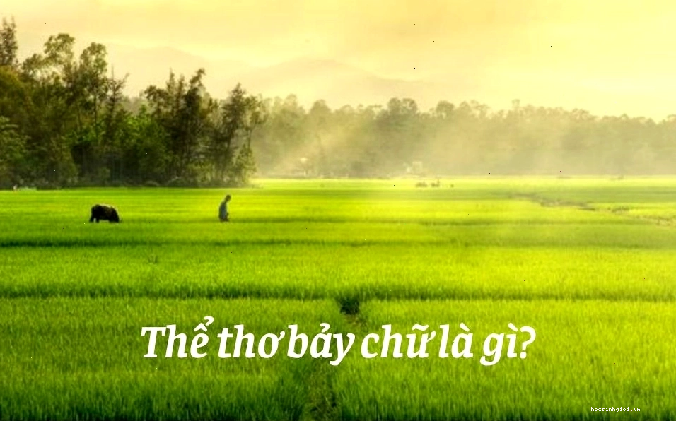 Minh họa về thể thơ