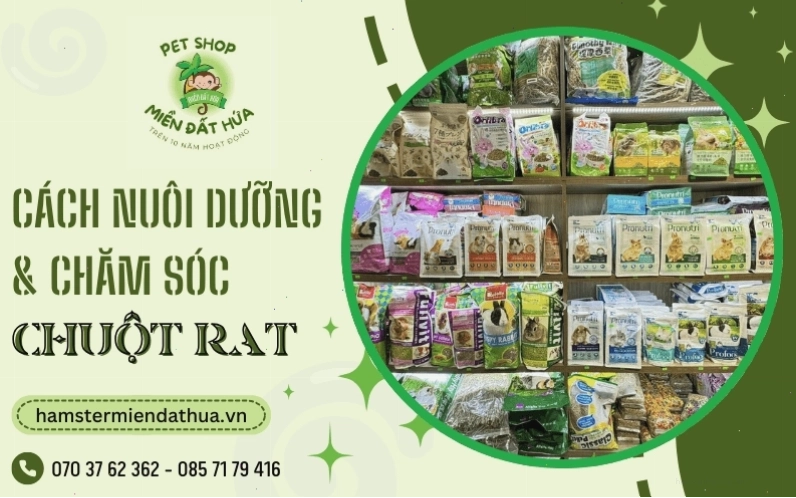 Môi trường sống sạch sẽ là yếu tố tiên quyết cho sức khỏe vật nuôi