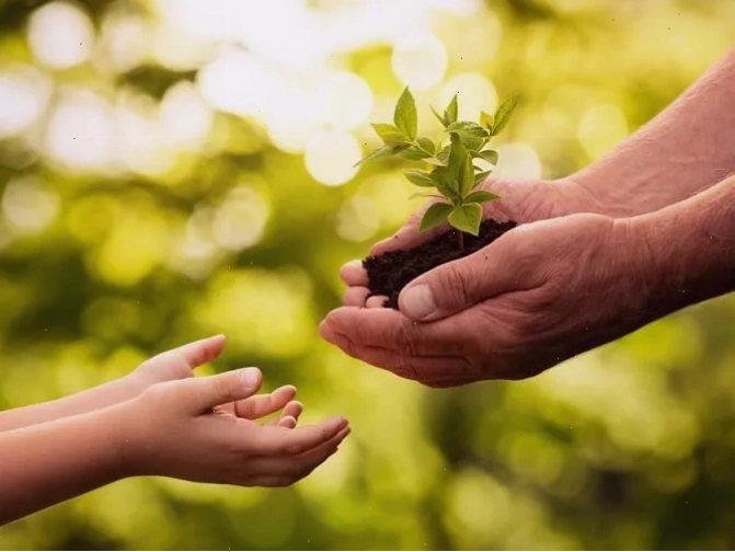 Người phụ nữ đang giúp đỡ một người lớn tuổi, thể hiện sự tử tế