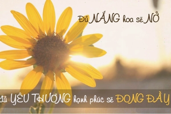 Những câu nói lạc quan về cuộc sống