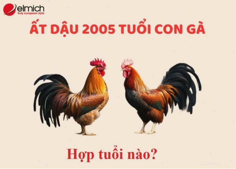 Những tuổi hợp với 2005