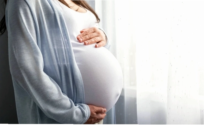 Núm vú và quầng vú hình thành từ khi ra đời và bắt đầu nhô lên ở tuổi dậy thì