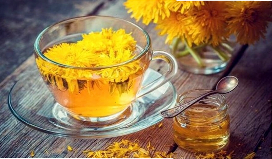 Nước lá Bồ Công Anh giúp trị tắc sữa hiệu quả cho mẹ sau sinh