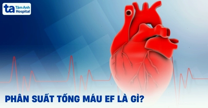 Phân suất tống máu EF là chỉ số quan trọng đánh giá chức năng tim