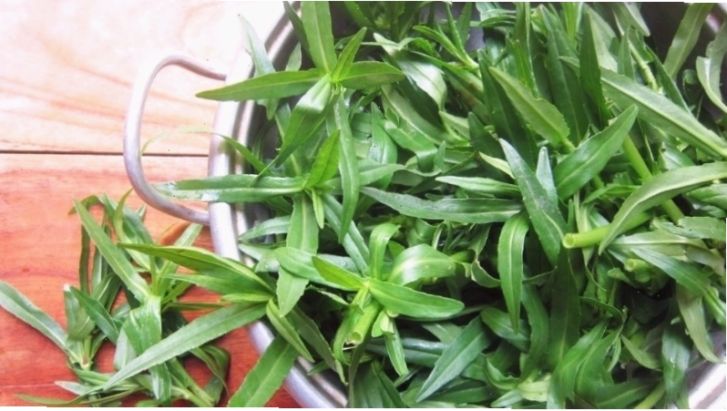 Rau ngổ chứa nhiều vitamin B, vitamin C và caroten