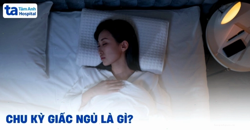 Sơ đồ minh họa chu kỳ giấc ngủ với các giai đoạn NREM và REM