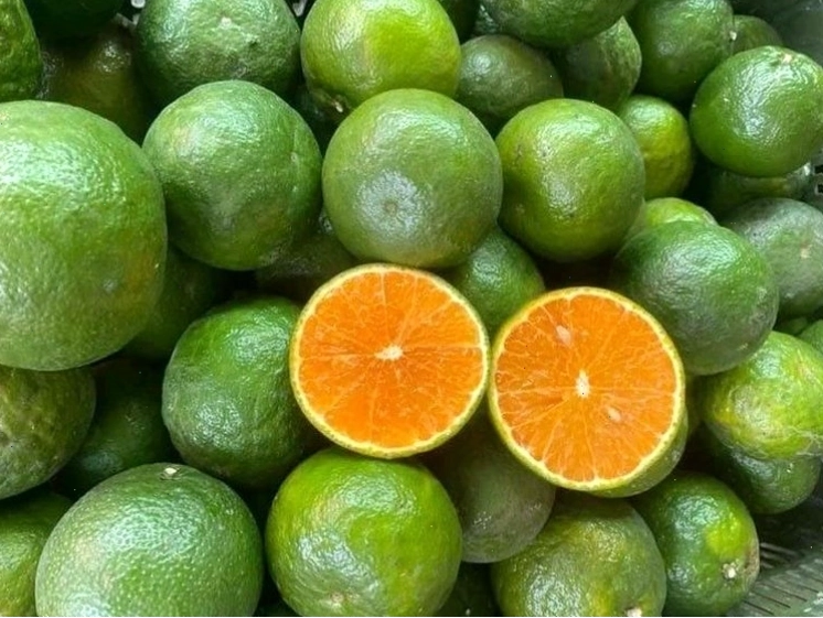 Sử dụng cam để vệ sinh răng miệng