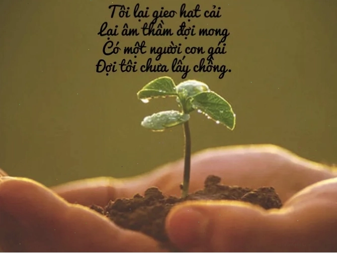 Sự giản dị nhưng tinh tế trong thơ ngũ ngôn