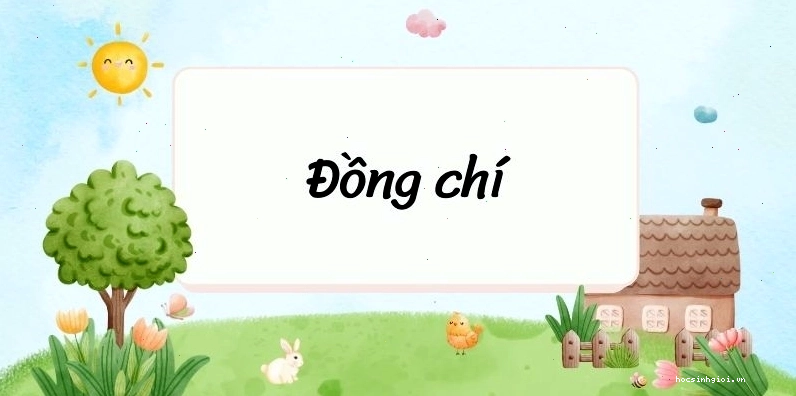 Tác phẩm Đồng chí của Chính Hữu