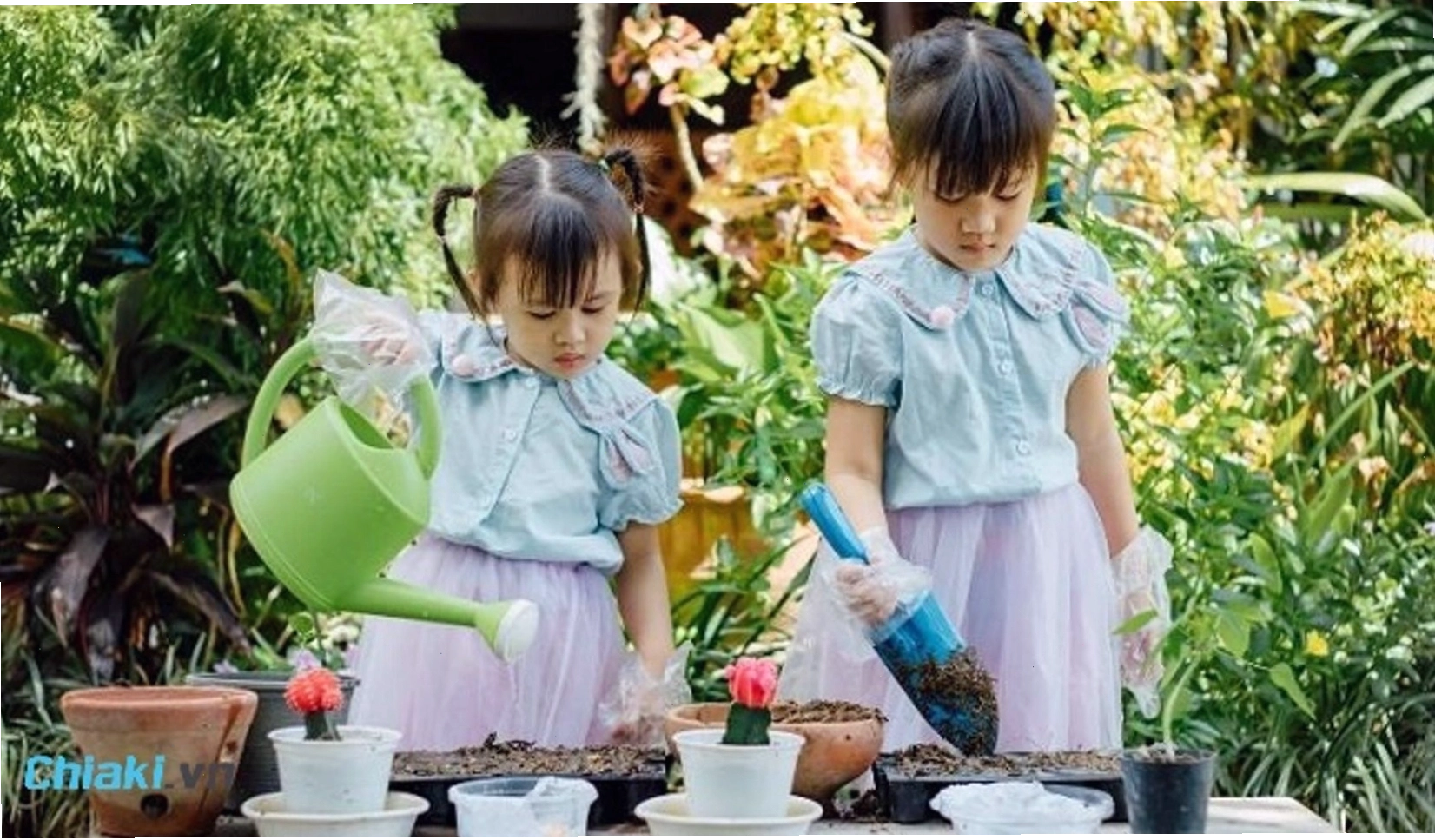 Tên con gái họ Hoàng thể hiện tính cách đáng yêu, dễ thương như Cẩm Tú, Khả Ái