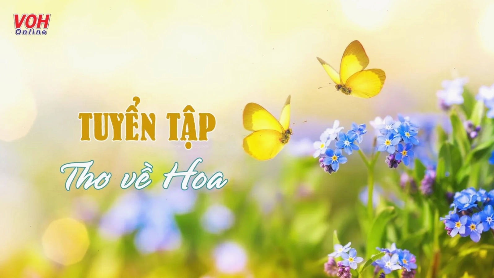 Thơ về hoa, ẩn dụ cho vẻ đẹp mong manh của cuộc sống