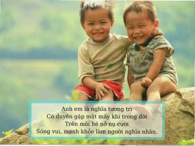 Thơ về tình anh em xã hội đề cập đến sự khác biệt với tình bạn