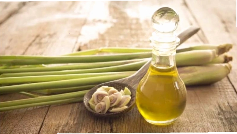Tinh dầu sả giúp giảm hoạt động của nấm gây bệnh hắc lào