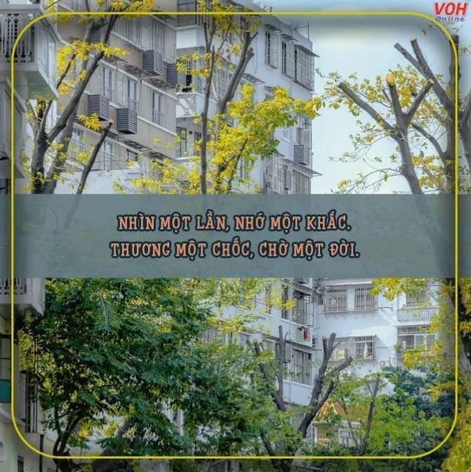 Tình yêu đơn phương đầy đau đớn và bất lực