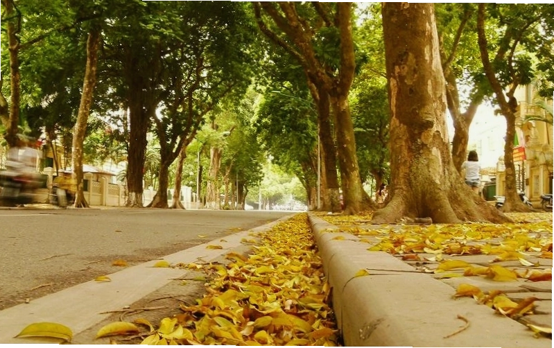 Tổng hợp những bài thơ hay về tháng 8