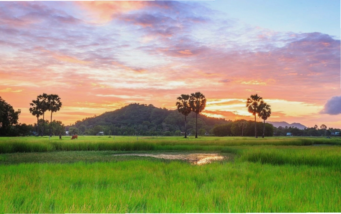 Tranh minh họa bài thơ về quê hương với hình ảnh làng quê Việt Nam thanh bình