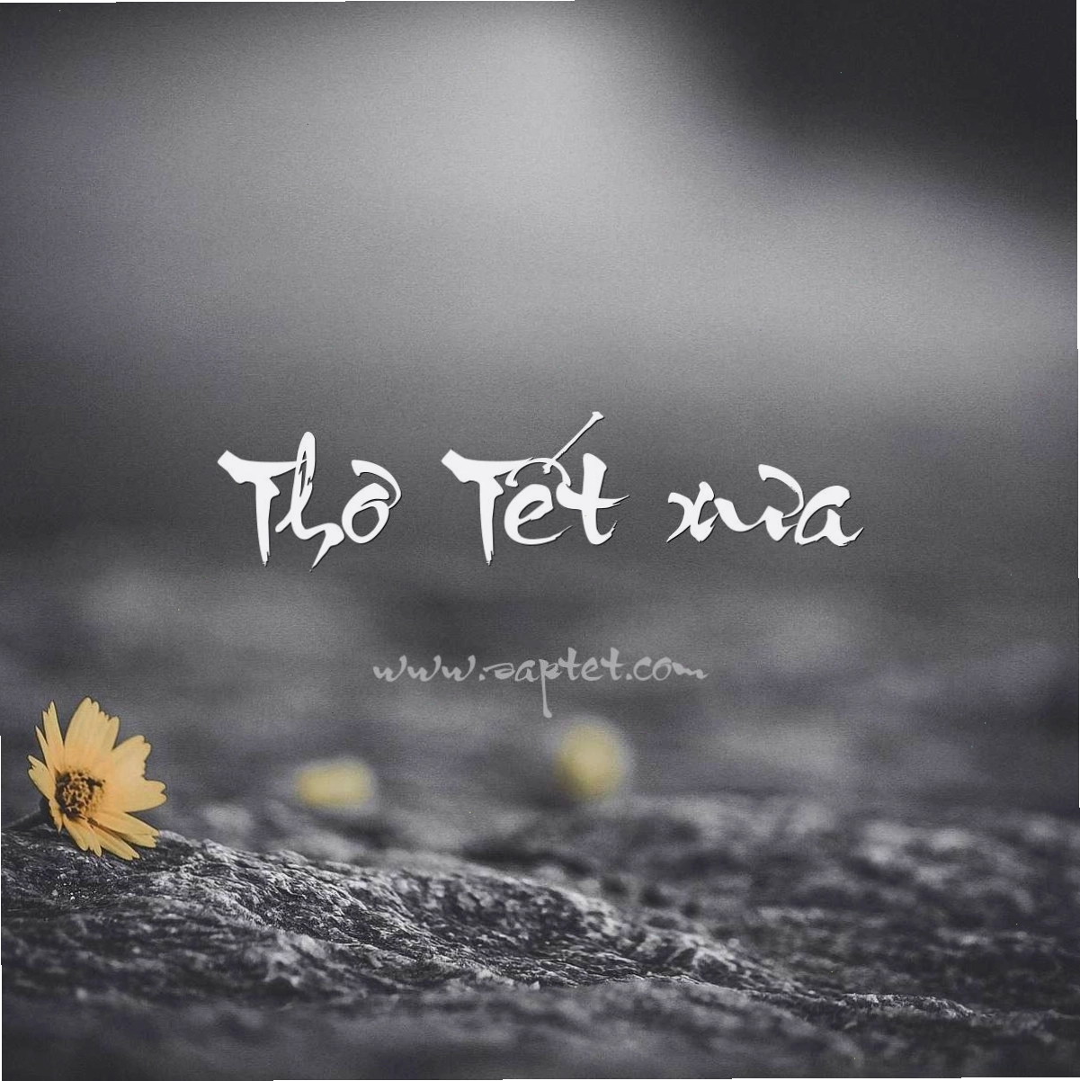 Trẻ em vui chơi trong dịp Tết Nguyên Đán