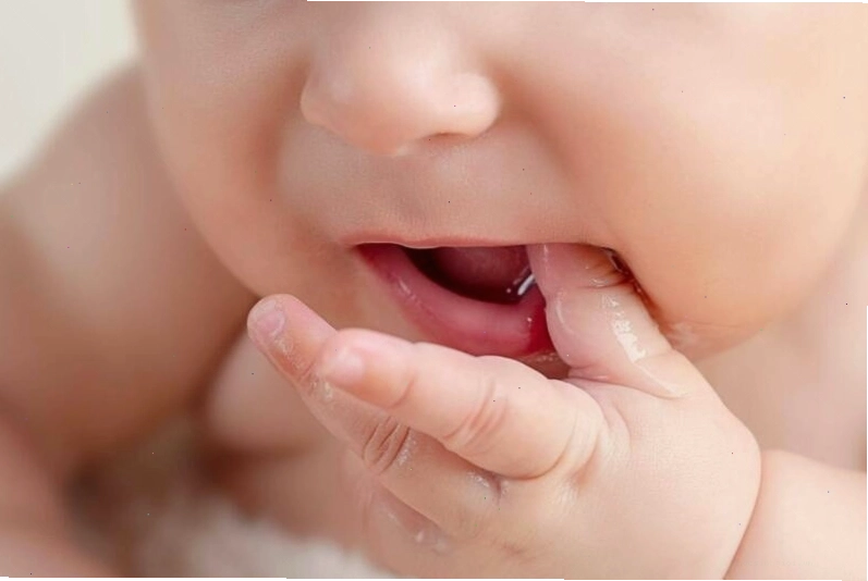 Trẻ thường bắt đầu mọc những chiếc răng đầu tiên khi khoảng 6 tháng tuổi