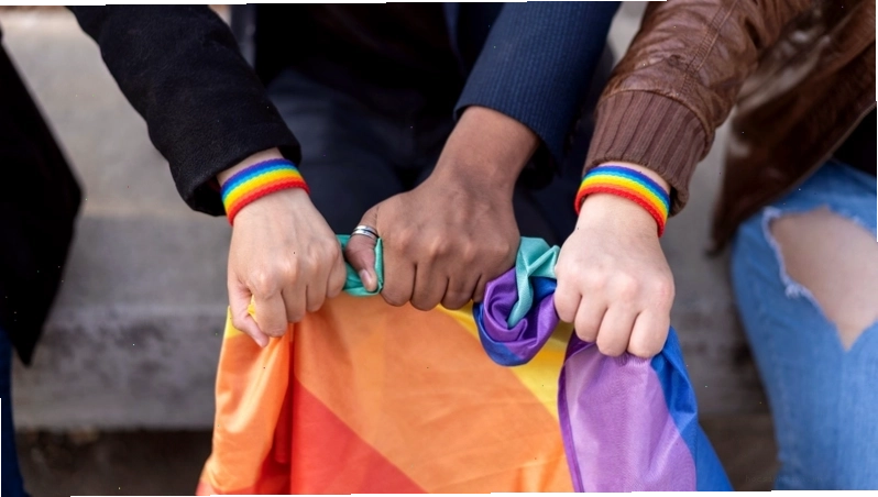 Ver là thuật ngữ chỉ vai trò tình dục linh hoạt trong cộng đồng LGBT