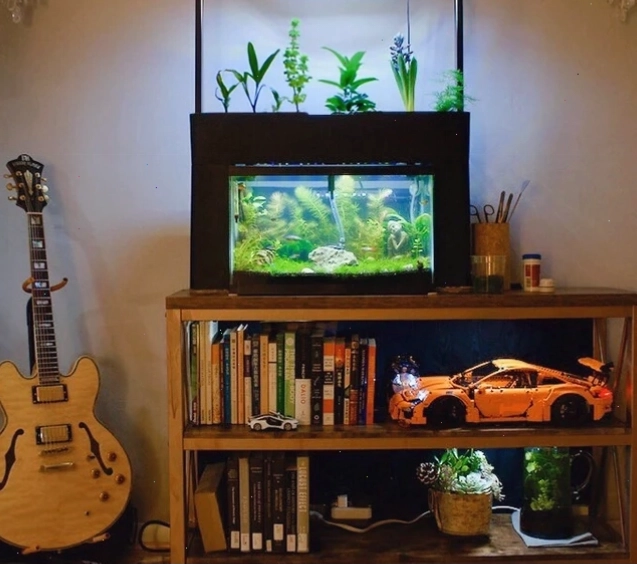 aquaponics for small pet fish tanks