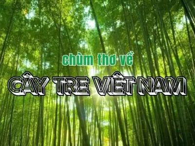 Bài thơ cây tre chan chứa hồn quê và ký ức tuổi thơ