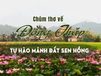 Những vần thơ sâu lắng về quê hương Đồng Tháp