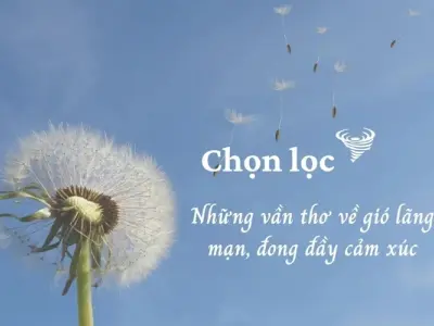 Những bài thơ về gió nhẹ nhàng và đầy chất thơ mộng