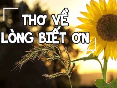 Những câu thơ chạm lòng về sự biết ơn và sẻ chia yêu thương