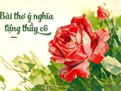 Những bài thơ hay và xúc động nhất về thầy cô giáo