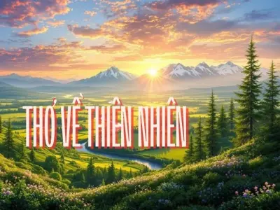 Tuyển chọn những bài thơ hay nhất về thiên nhiên tươi đẹp