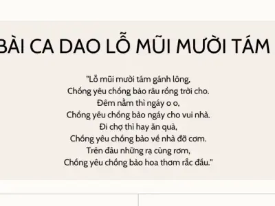 Cảm nhận bài ca dao lỗ mũi mười tám gánh lông qua từng câu chữ