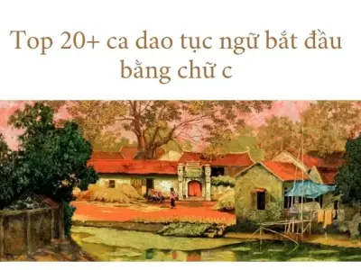 Top 20+ ca dao tục ngữ bắt đầu bằng chữ c ý nghĩa nhất