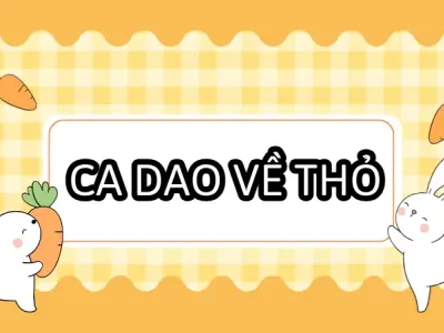 Ca dao về con thỏ giúp bạn hiểu thêm về văn hóa dân gian